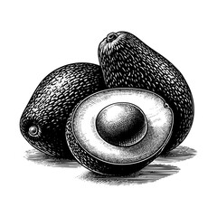 Avocado fruit sketch engraving black and white outline. Scratch board imitation.  illustrated in vintage line art style on a white background.
