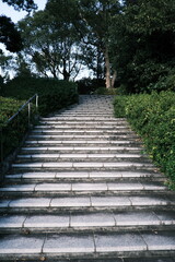 公園の階段