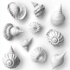 Abstract seashells, various shapes and textures,  arranged on a white background