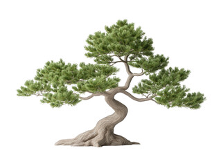 A large tree with a trunk that is bent and twisted. The tree is surrounded by a white background