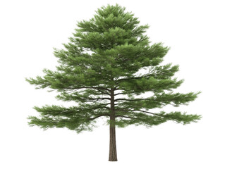 A large green tree stands alone on a white background. The tree is the main focus of the image, and its size and color make it stand out against the white background. The tree appears to be healthy