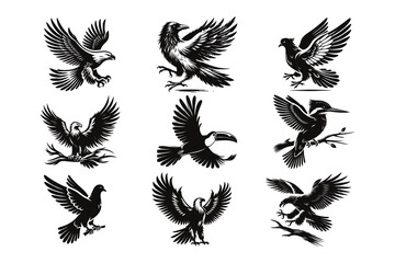 Black and White Bird Vector Illustration | Flying & Perched Birds 