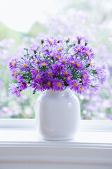 クジャクアスターの花