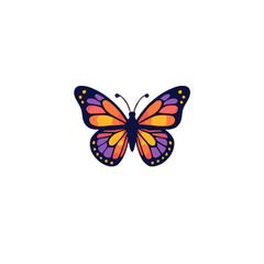 Cute Beautiful Butterfly 