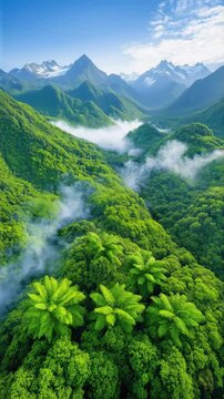 Vertical cinemagraph captures pristine rainforest ecosystem. Dense canopy reveals ancient forest thriving between misty highlands and snow-capped peaks. Seamless aerial loop