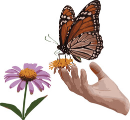 butterfly on a flower vector 