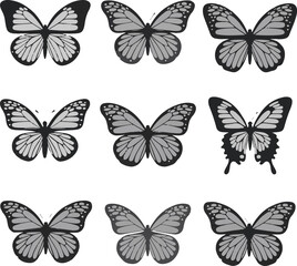 set of butterflies