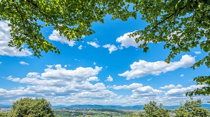 Blue Sky with Fluffy White Clouds Viewed Through Lush Green Tree Branches