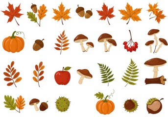 Autumn elements, fall foliage, colorful leaves, pumpkin, acorn, mushrooms, berries, apple, chestnut, fern, botanical illustration, hand-drawn style, flat design, vibrant colors