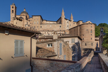 Urbino 11