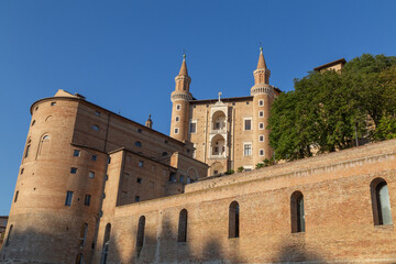Urbino 10