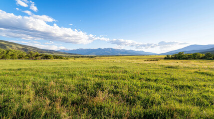 Obraz premium Expansive green field with majestic mountains and vibrant blue sky in the background.