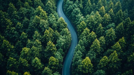 Aerial View of Sustainable Infrastructure Project with Winding Road Through Lush Green Forest Emphasizing Ecology