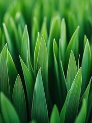 Lush Greenery Close Up Capturing the Essence of Fresh Growth and Natural Beauty in a Serene Scene