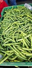 Green Beans Freshly Picked and Ready to Sell