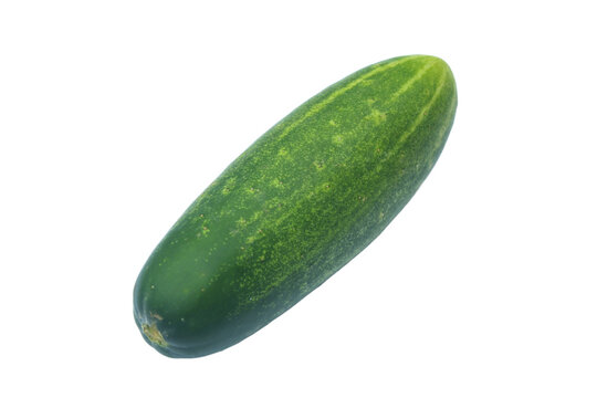 Single Green Cucumber Isolated on White Background