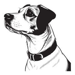 Dog Vector 