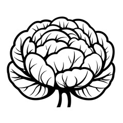 Obraz premium Cabbage illustration, black and white, minimalistic design 
