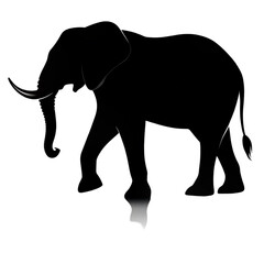 Fototapeta premium elephant vector illustration