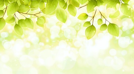 Fototapeta premium Bright Green Leaves and Soft Light Background