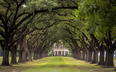 Mississippi River, Southern Plantation House Under Live Oaks