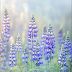 Fototapeta premium Beautiful, glowing blue phantasmal flowers in the meadow, with a blurred background