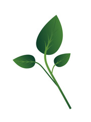 Obraz premium Green Leaf Vector Illustration for World Environment Day