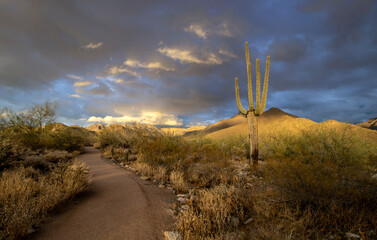 Hiking Path At The Gateway Trailhead And Desert Preserve In Scottsdale Arizona