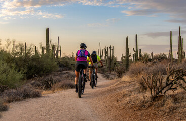 Two People Riding  Mountain Bikes On Desert A Trail In A Preserve In Scottsdale