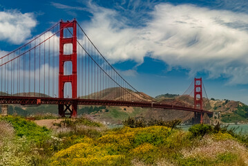 526-04 Golden Gate Wildflowers © Hank Erdmann