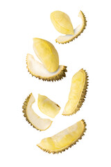 Fototapeta premium Falling Durian, cutout, full depth of field.