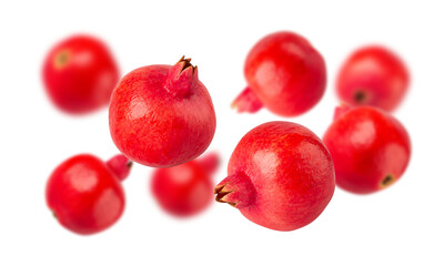 Falling Pomegranate fruit cutout, full depth of field.