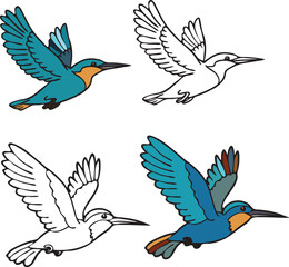 Majestic Kingfisher Birds Vector Art Collection