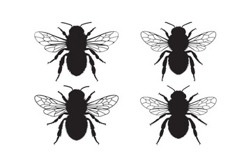 Bee Silhouette Vector Honeybee Clipart Insect Illustration