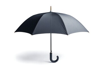 A sleek black umbrella with a curved handle, designed for protection against rain, offering both style and functionality.