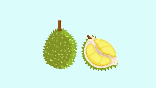 Animated video fruit concept. Full length animation illustration. High quality 4k footage.