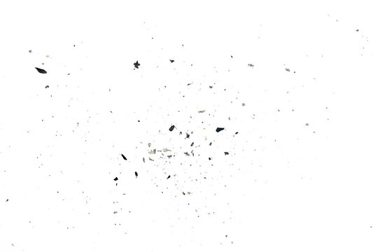 Scattered paper ash particles on white background isolated