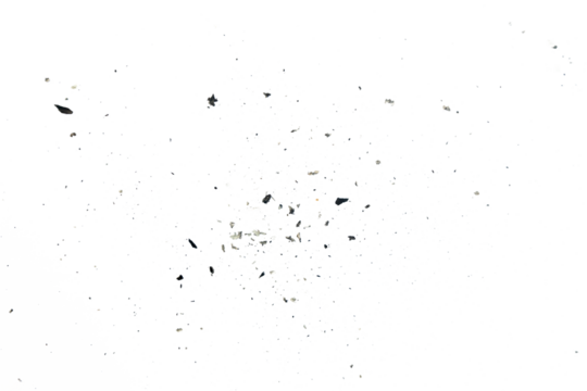 Scattered paper ash particles on white background isolated