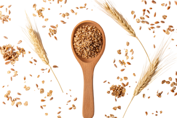 Spelt bran and grains with wooden spoon and ears of wheat isolated on white or transparent background, top view