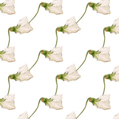 wildflowers botanical seamless pattern watercolor illustration isolated on white viola alba