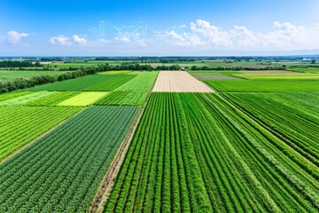 Aerial view of vibrant farmland, diverse crops, sunny day, rural landscape; agricultural stock photo