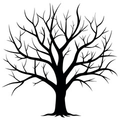 Obraz premium Bare tree branches vector illustration. 