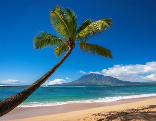 Obraz premium palm tree leaning over a beautiful tropical beach in hawaii with hualalai volcano in the background