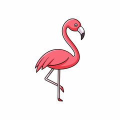flamingo vector illustration