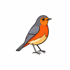 American robin bird on branch