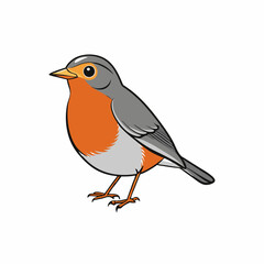 American robin bird on branch