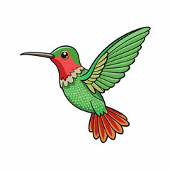 hummingbird in flight