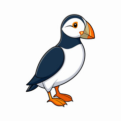 puffin on white background