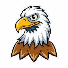 bald eagle on a white background