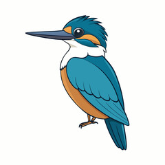 kingfisher on branch